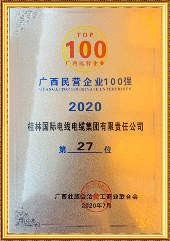 广西民营企业100强27位