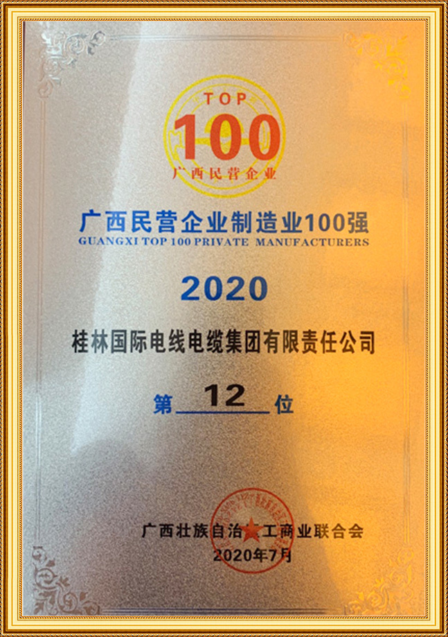 广西民营企业100强12位